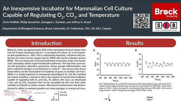 An Inexpensive Incubator for Mammalian Cell Culture Capable of Regulating O2, CO2, and Temperature