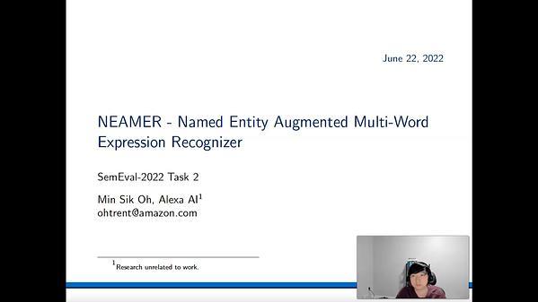 NEAMER - Named Entity Augmented Multi-word Expression Recognizer
