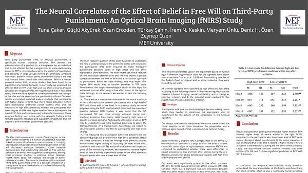 The Neural Correlates of the Effect of Belief in Free Will on Third-Party Punishment: An Optical Brain Imaging (fNIRS) Study