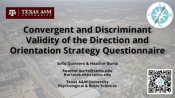 Convergent and Discriminant Validity of the Direction and Orientation Strategy Questionnaire