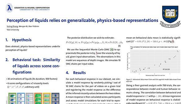 Perception of liquids relies on generalizable, physics-based representations