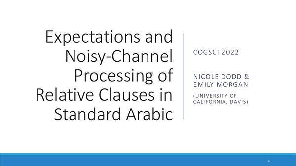 Expectations and Noisy-Channel Processing of Relative Clauses in Arabic