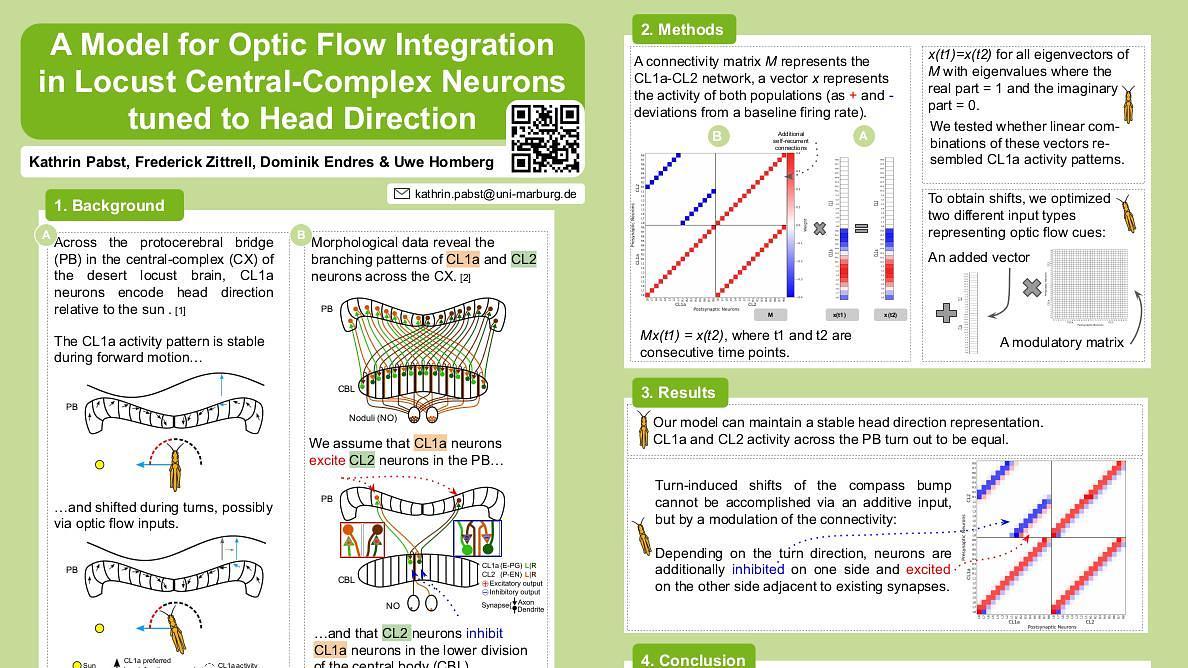 Lecture image placeholder