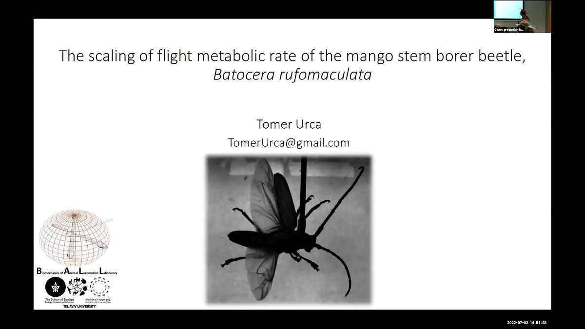 Lecture image placeholder