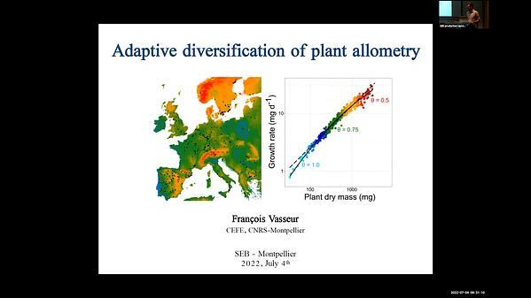 Adaptive diversification of metabolic scaling in the plant Arabidopsis thaliana