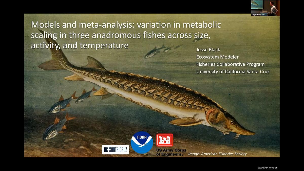 Lecture image placeholder