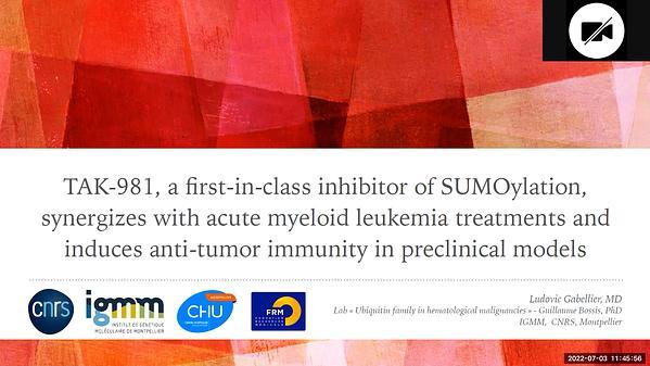 TAK-981, a first in class inhibitor of SUMOylation, synergizes with Acute Myeloid Leukemias treatments and induces anti-tumor immunity in preclinical models