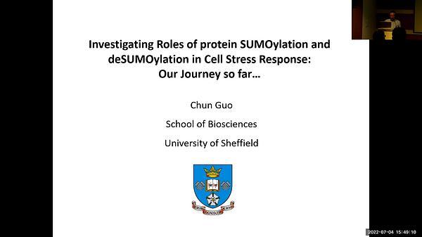Investigating the Roles of protein SUMOylation and deSUMOylation in Cell Stress Response: Our Journey so far…