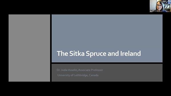 The Sitka Spruce and Ireland