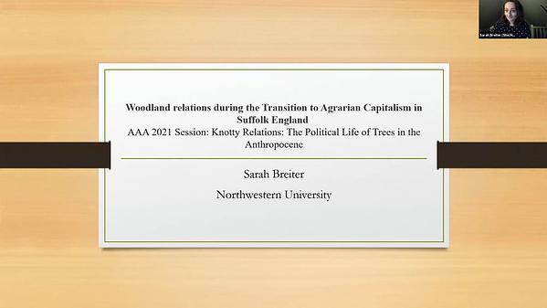 Woodland relations during the Transition to Agrarian Capitalism in Suffolk England The