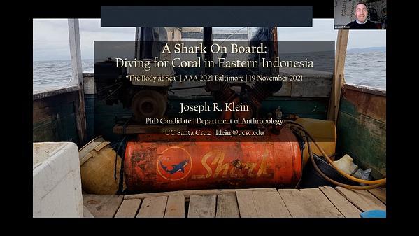 A Shark on Board: Diving for Coral in Eastern Indonesia