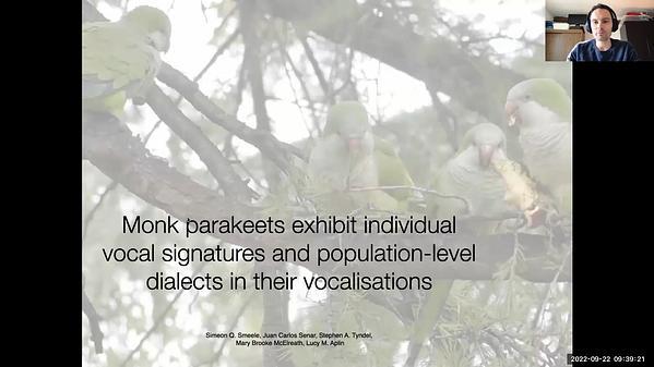 Monk parakeets exhibit individual vocal signatures and population-level dialects in their vocalisations