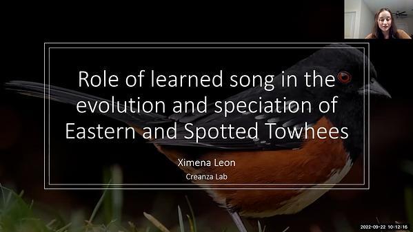 Role of learned song in the evolution and speciation of Eastern and Spotted Towhees