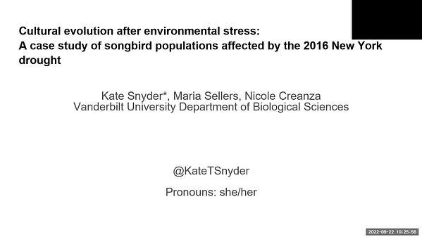 Cultural evolution after environmental stress: a case study of songbird populations affected by the 2016 New York drought