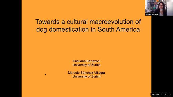 Towards a cultural macroevolution of dog domestication in South America