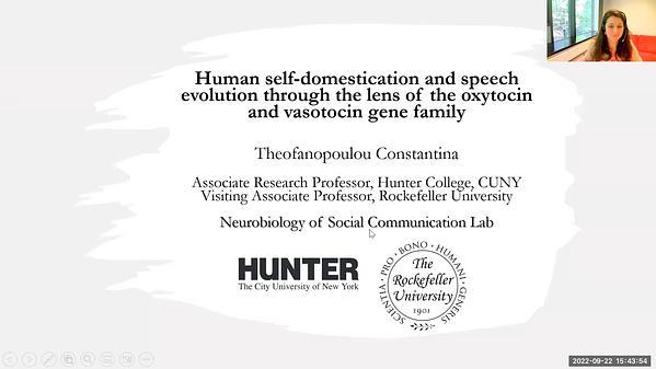 Human self-domestication and speech evolution through the lens of the oxytocin and vasotocin gene family
