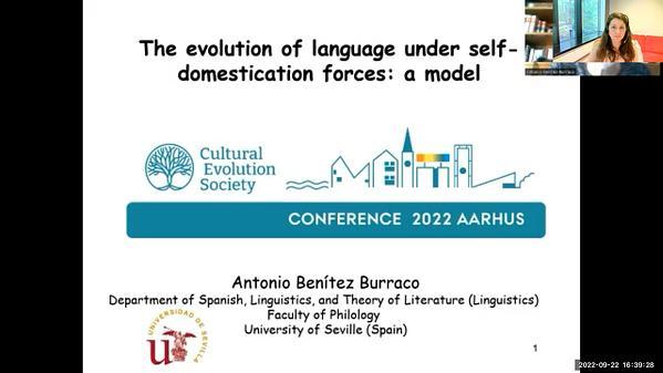 The evolution of language under self-domestication forces: a model