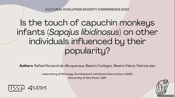 Is the touch of capuchin monkeys infants (Sapajus libidinosus) on other individuals influenced by their popularity?