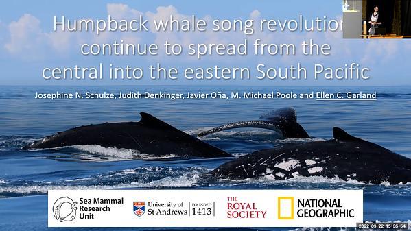 Humpback whale song revolutions continue to spread from the central into the eastern South Pacific