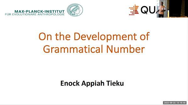 On the Development of Grammatical Number