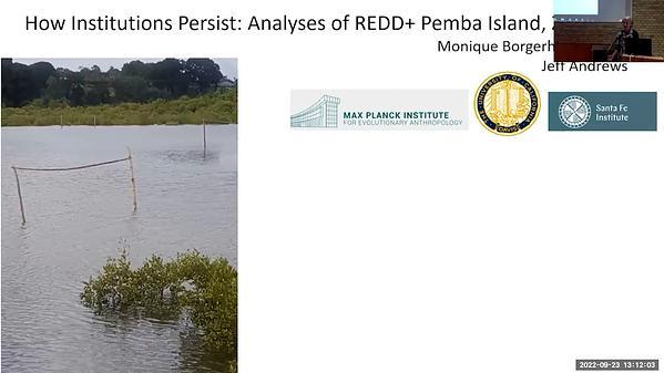 How Institutions Persist: Analyses of a REDD+ Programme on Pemba Island, Zanzibar