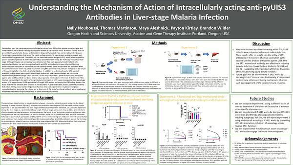 Understanding the Mechanism of Action of Intracellularly acting anti-pyUIS3 Antibodies in Liver-stage Malaria Infection 
