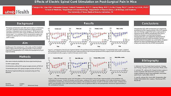 Anesthesiology - Effects of Electric Spinal Cord Stimulation on Post-Surgical Pain in Mice - Anesthesiology