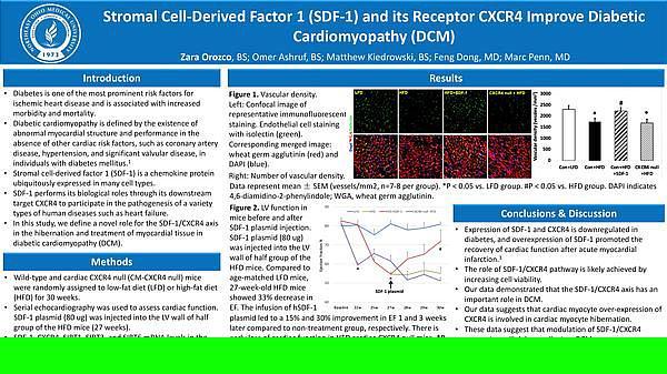 Cardiology - Stromal Cell-Derived Factor 1 (SDF-1) and its Receptor CXCR4 Improve Diabetic Cardiomyopathy (DCM) - Cardiology
