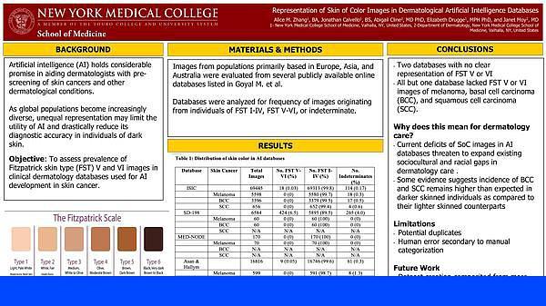 Dermatology - Representation of Skin of Color Images in Dermatological Artificial Intelligence Databases - Dermatology