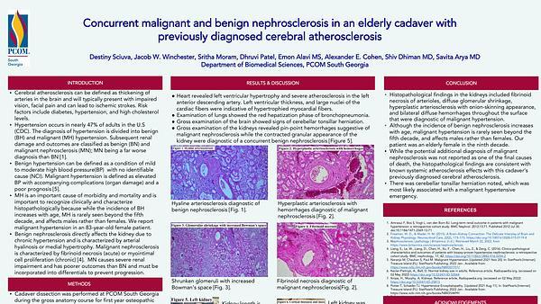 Concurrent malignant and benign nephrosclerosis in an elderly cadaver with previously diagnosed cerebral atherosclerosis