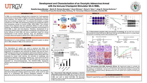 Development and characterization of an oncolytic adenovirus armed with the immune checkpoint stimulator SA-4-1BBL