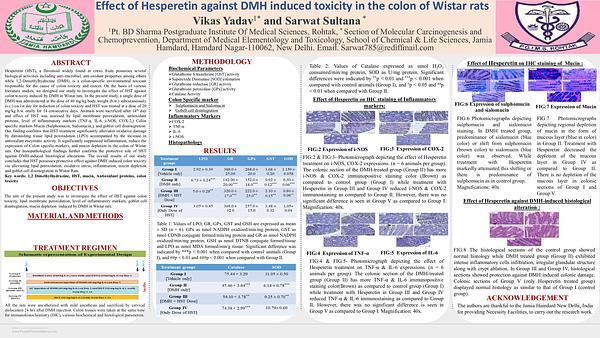 Effect of Hesperetin against DMH induced toxicity in the colon of Wistar rats