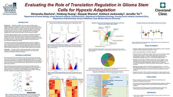 Evaluating the Role of Translation Regulation in Glioblastoma Stem Cells for Hypoxic Adaptation