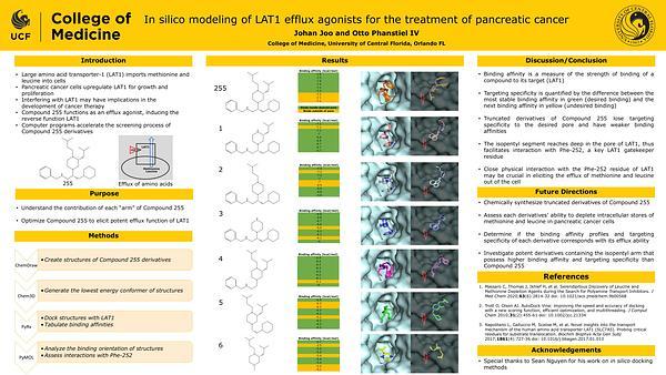 In silico modeling of LAT1 efflux agonists for the treatment of pancreatic cancer