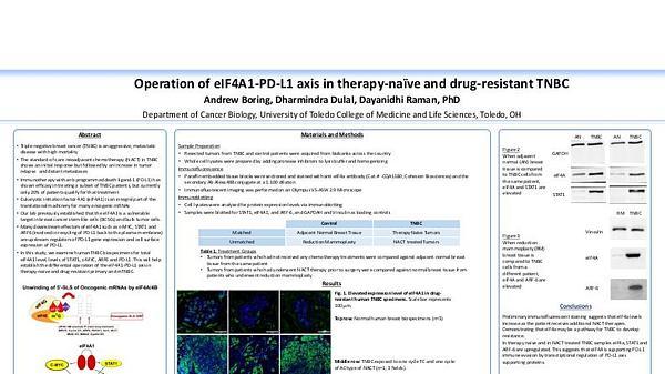 Operation of eIF4A1-PD-L1 axis in therapy-naïve and drug-resistant TNBC