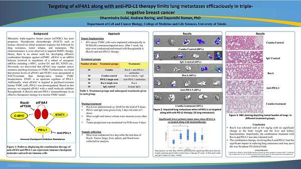 Targeting of eIF4A1 along with anti-PD-L1 therapy limits lung metastases efficaciously in triple-negative breast cancer