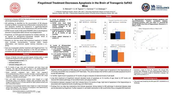Neurology - Fingolimod Treatment Decreases Apoptosis in the Brain of Alzheimer's Transgenic 5xFAD Mice - Neurology