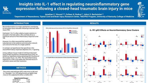 Neurology - Insights into IL-1 effect in regulating neuroinflammatory gene expression following a closed-head traumatic brain injury in mice - Neurology