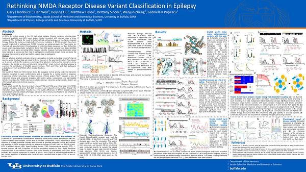 Neurology - Rethinking NMDA Receptor Disease Variant Classification in Epilepsy - Neurology