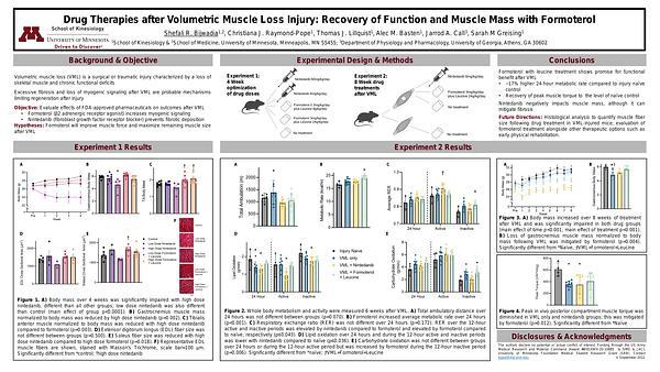 Orthopaedic Surgery - Drug Therapies after Volumetric Muscle Loss Injury: Recovery of Function and Muscle Mass with Formoterol - Orthopaedic Surgery