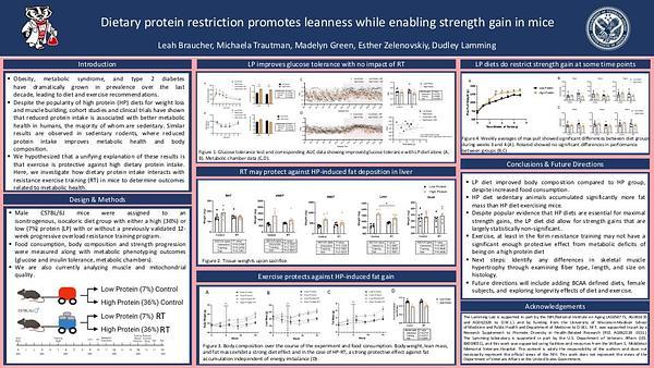 Dietary protein restriction promotes leanness while enabling strength gain in mice