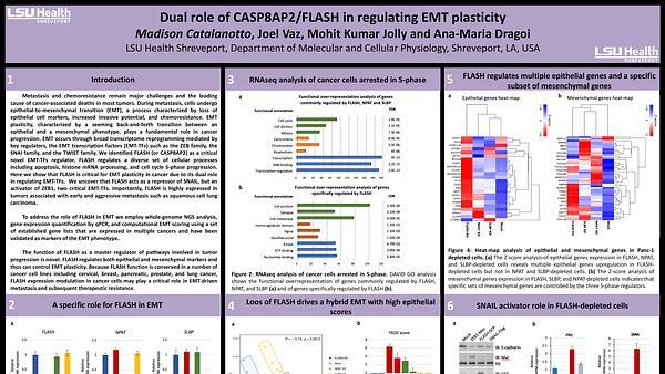 Dual role of CASP8AP2/FLASH in regulating EMT plasticity