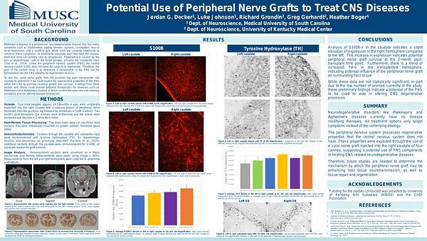 Potential Use of Peripheral Nerve Grafts to Treat CNS Diseases
