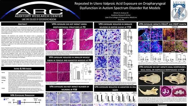 Repeated In Utero Valproic Acid Exposure on Oropharyngeal Dysfunction in Autism Spectrum Disorder Rat Models