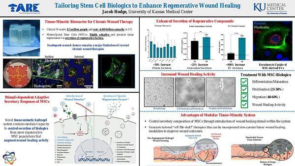 Tailoring Stem Cell Biologics to Enhance Regenerative Wound Healing