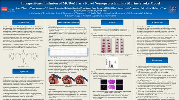 Intraperitoneal Infusion of MCB-613 as a Novel Neuroprotectant in a Murine Stroke Model