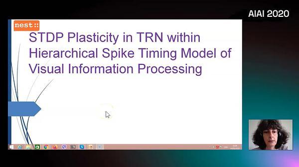 STDP Plasticity in TRN within Hierarchical Spike Timing Model of Visual Information Processing