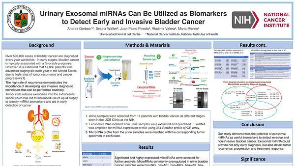 Urinary Exosomal miRNAs Can Be Utilized as Biomarkers to Detect Early and Invasive Bladder Cancer