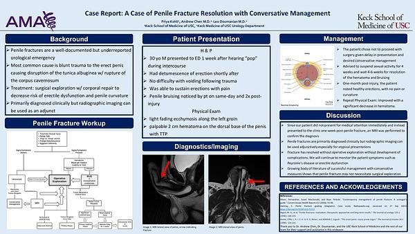 Case Report: A Case of Penile Fracture Resolution with Conversative Management