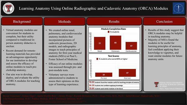Learning Anatomy Using Online Radiographic and Cadaveric Anatomy (ORCA) Modules